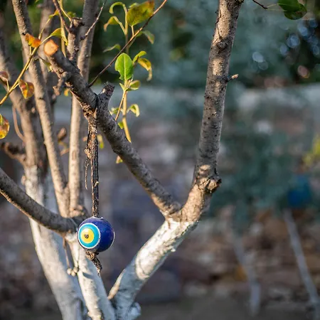 Istanbul ゲストハウス Ayvalı