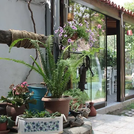 Istanbul Konukevi