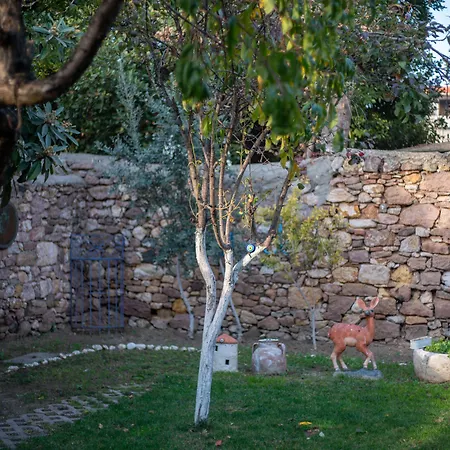 Istanbul בית הארחה