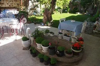 Istanbul Ayvalı